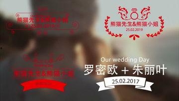结婚视频字幕,结婚视频字幕背后的爱情故事