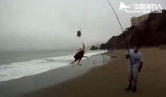 怎样钓螃蟹视频教程,轻松学会螃蟹钓法，掌握海洋捕捞技巧