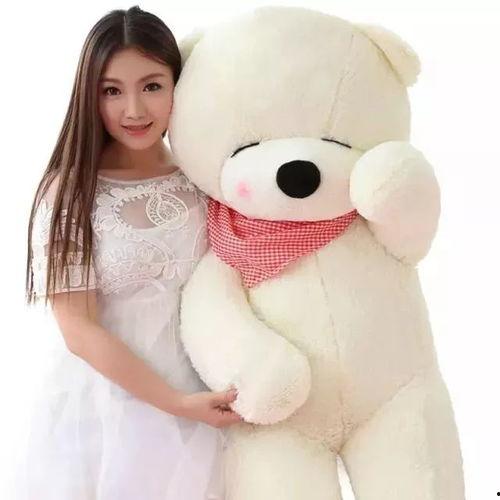 抱抱熊视频,抱抱熊视频传递爱与温暖